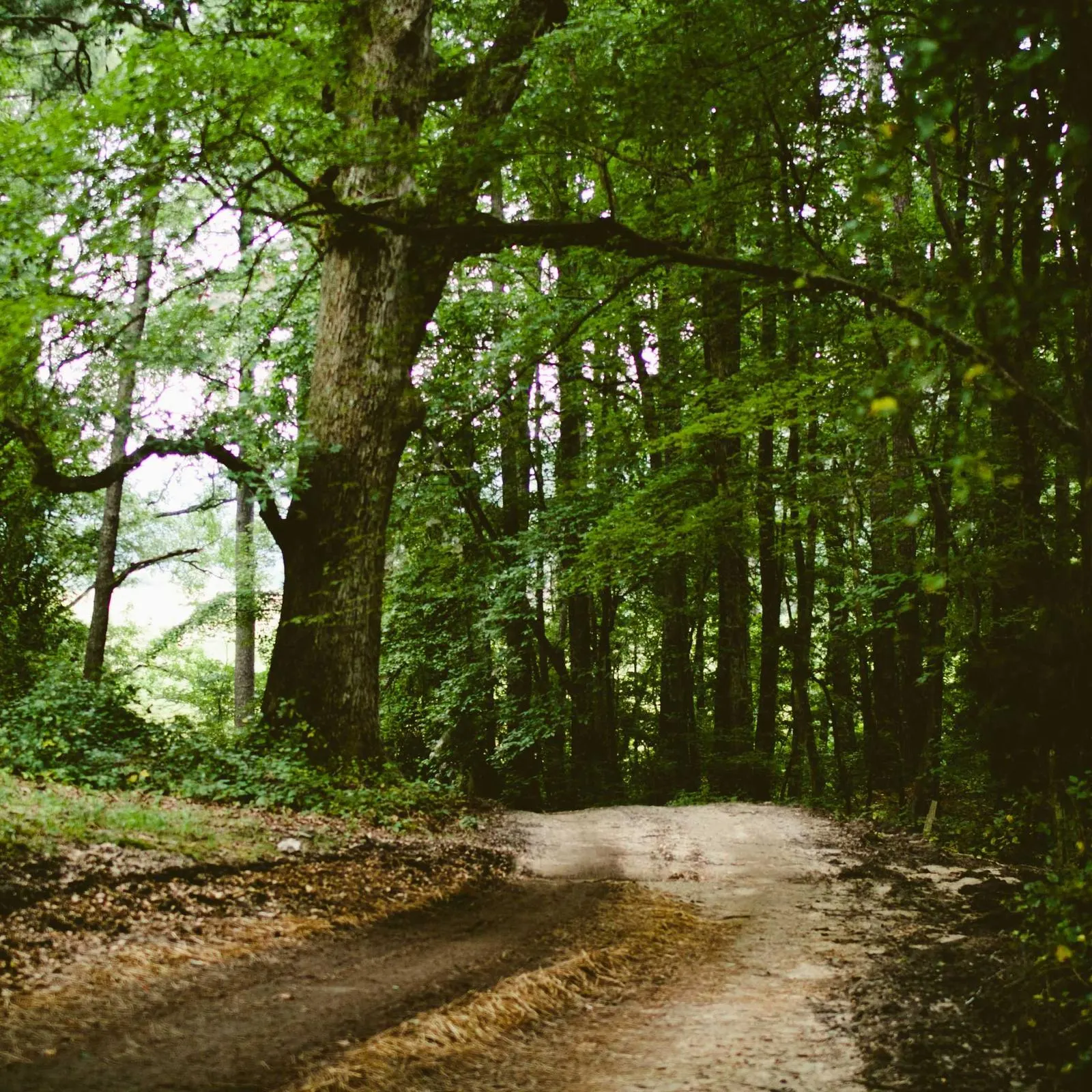 Fotografie de produs, 1